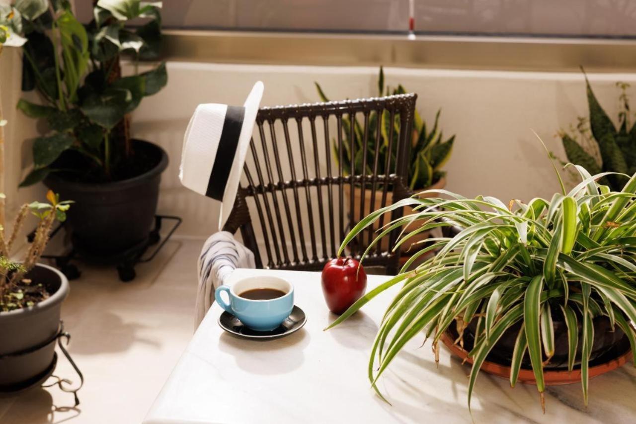 Appartement Jolly *
